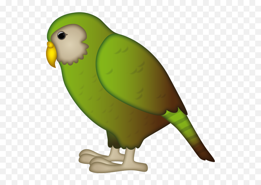 Qopo - Kakapo Animated Emoji,Parrot Emoji Iphone