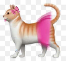 Cat Emoji Iphone