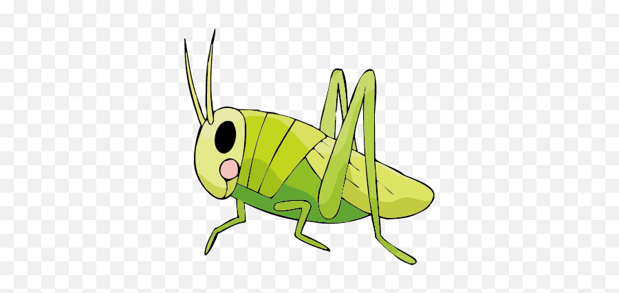 Drawing Insects Cricket Transparent Png Clipart Free - V Con Châu Chu Emoji,Crickets Emoji