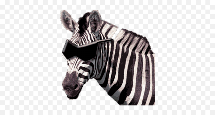 Blind Zebras - Blind Zebras Emoji,Zebra Emoticon