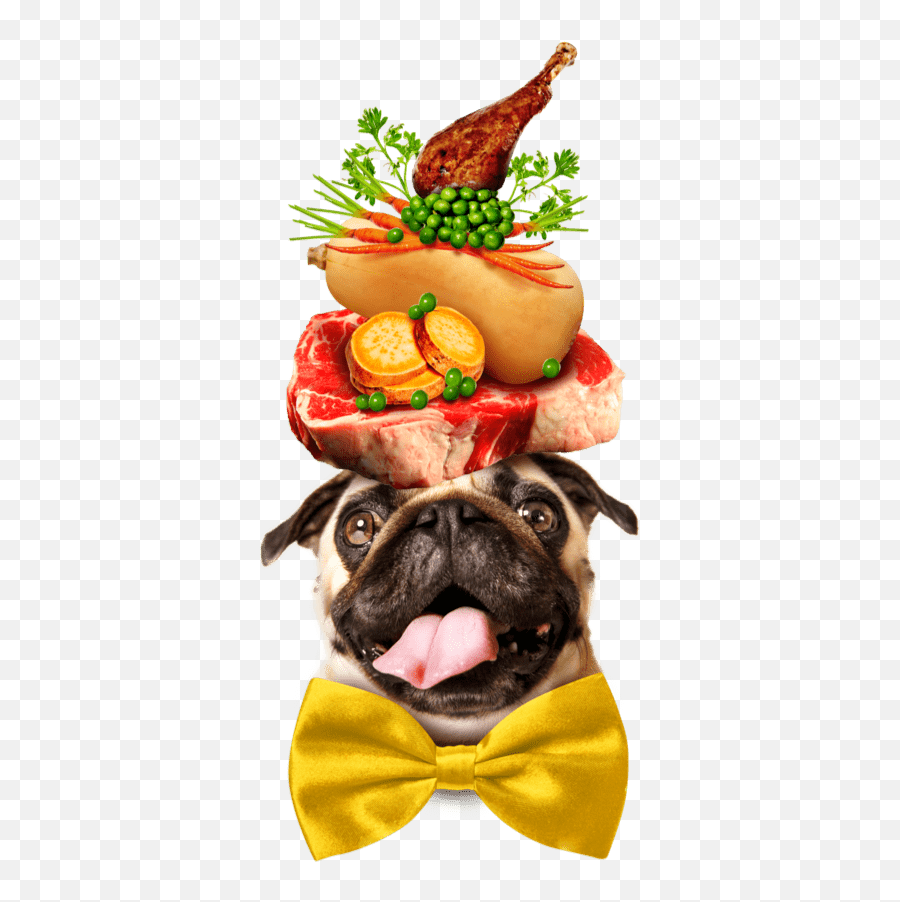 Pet Plate - Fresh Dog Food Delivered Pet Plate Thanksgiving Dog Png Emoji,Doge Emoji