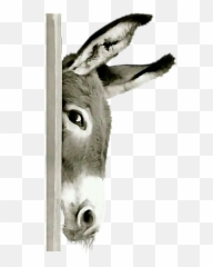 Donkey Mule Hiding Terrieasterly - Donkey Peeking Emoji,Mule Emoji