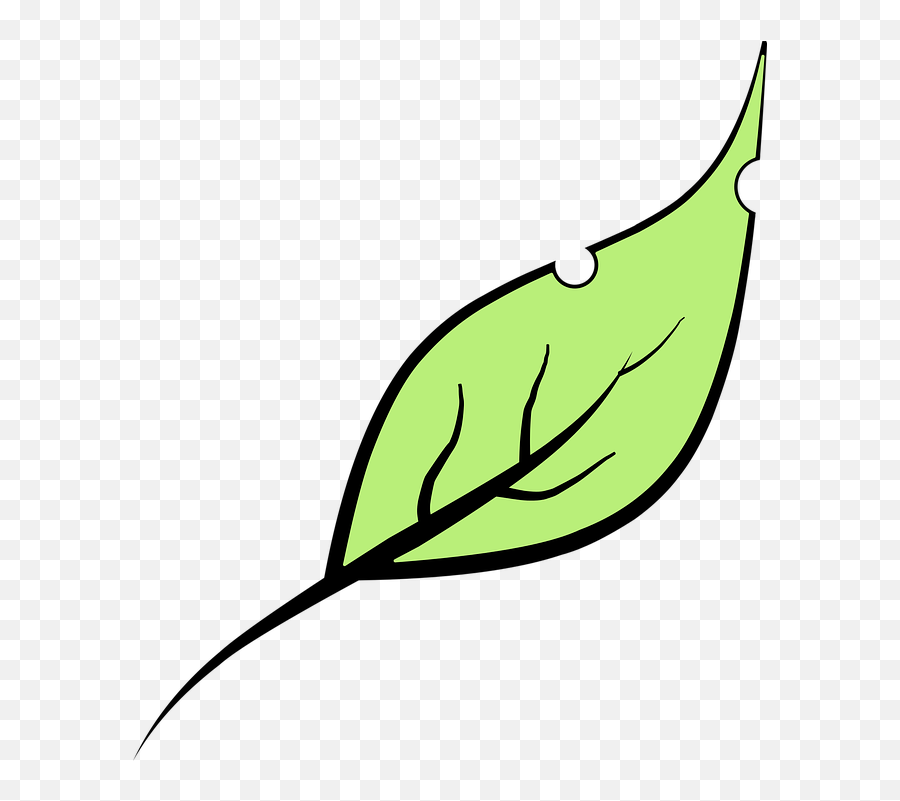 Leaf Green - Clip Art Emoji,Four Leaf Clover Emoji