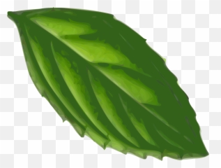 Leaves Clipart Bunch Leaves Leaves - Mint Leaf Clip Art Emoji,Basil Emoji