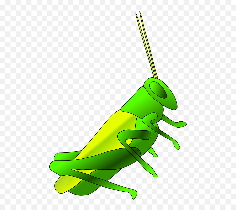 Crickets Clipart - Grasshopper Clip Art Emoji,Crickets Emoji