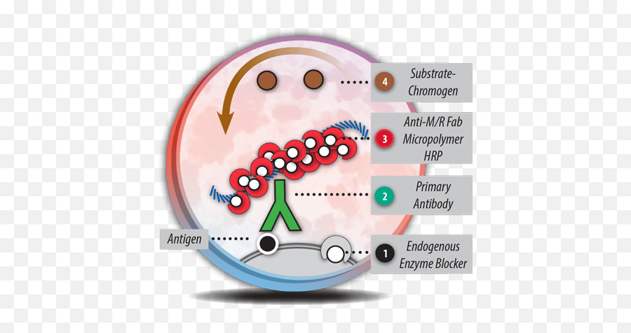 Bio Sb - Cancer Diagnostics Production Distribution And Circle Emoji,Mexico Emoticon