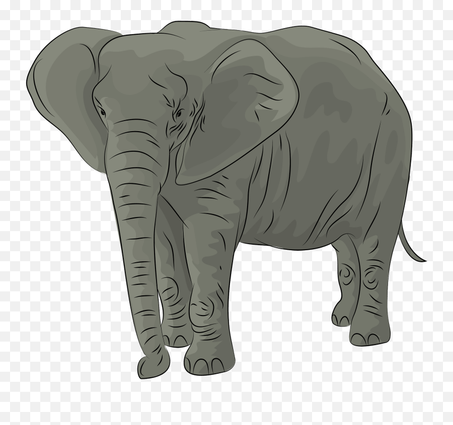 African Elephant Clipart Free Download Transparent Png - Elephant Clipart Emoji,African Emoji