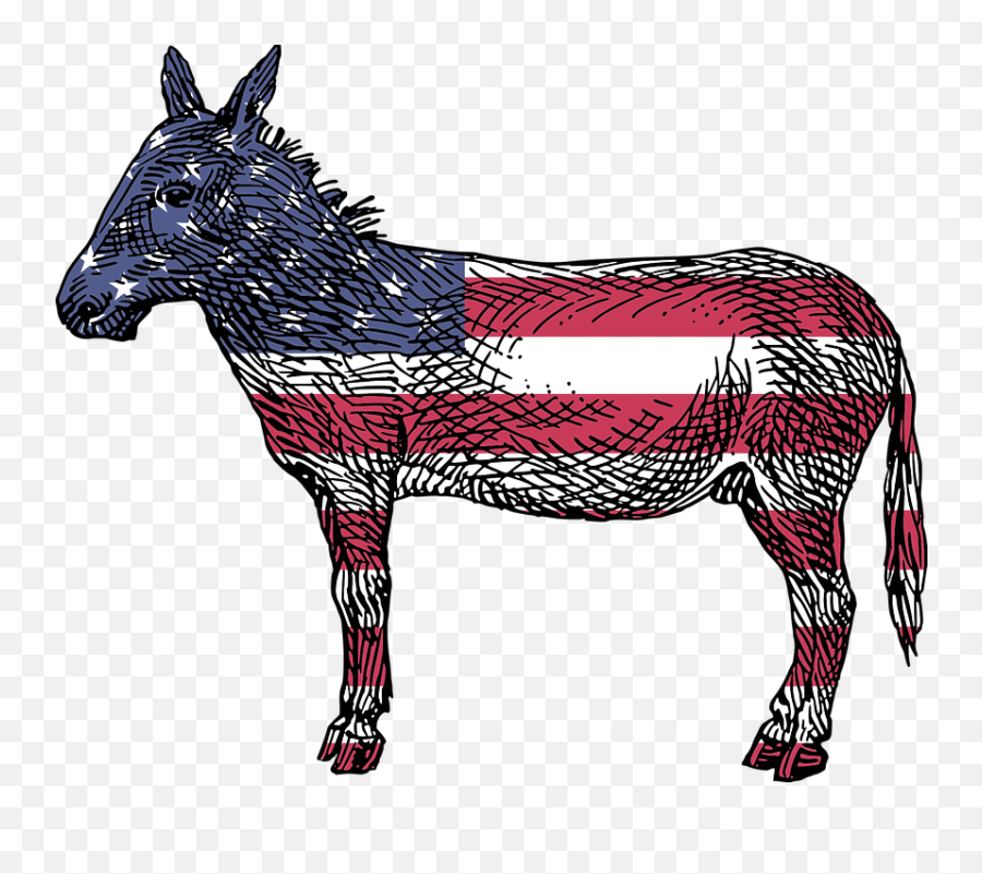 America Democrats Ass - Democrat Donkey Transparent Background Emoji,Flag Train Flag Emoji