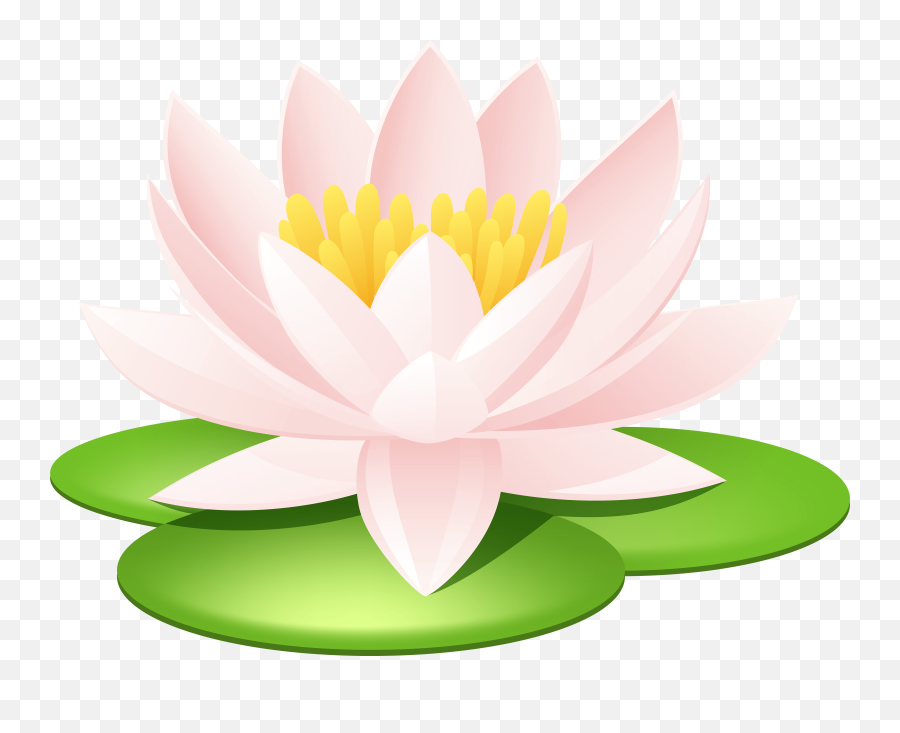 Water Lily Transparent Png Image Emoji,Lotus Flower Emoji