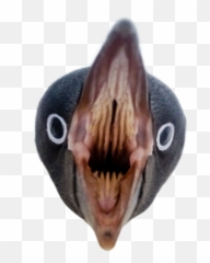 penguin angry pingu meme reee reeeeeeeeeee - Penguin Teeth Emoji