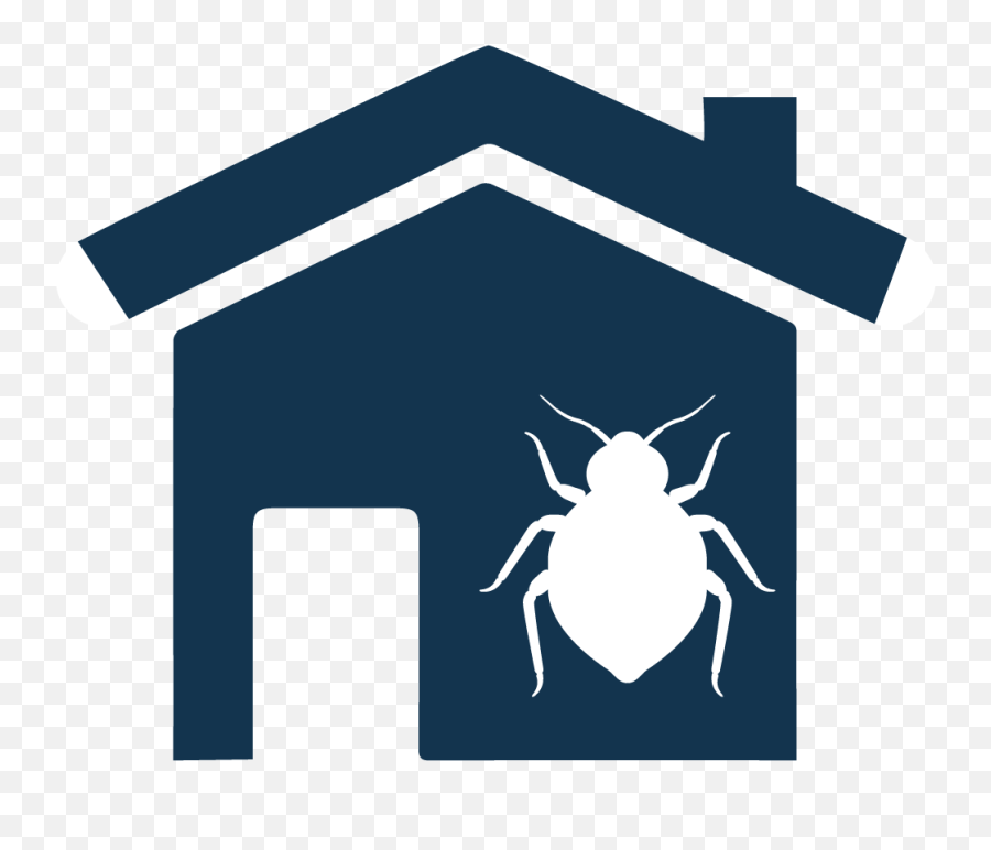 Bed Bug In Your Childs Backpack - Weevil Emoji,Bed Bug Emoji