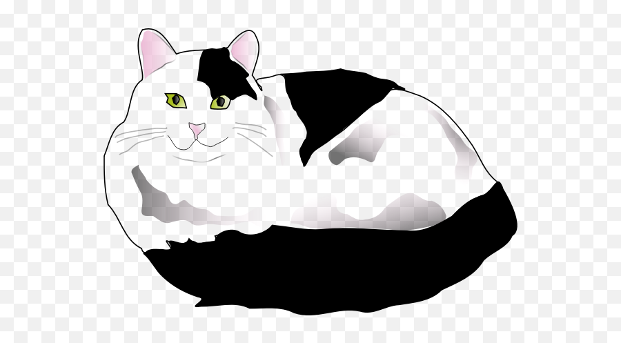 Black And White Fluffy Cat - Black And White Cat Clipart Emoji,Cat Japanese Emoji