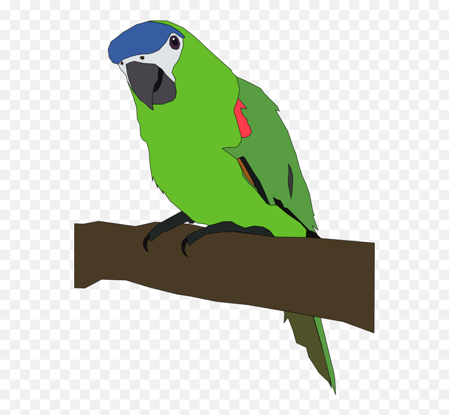 Budgerigar Lovebird Macaw Parrots - Parrot Clipart Emoji,Parrot Emoji Iphone