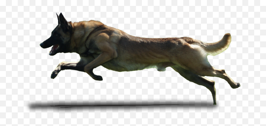 Dog Running Png 3 - Dog Running Png Emoji,Running Emoji Png