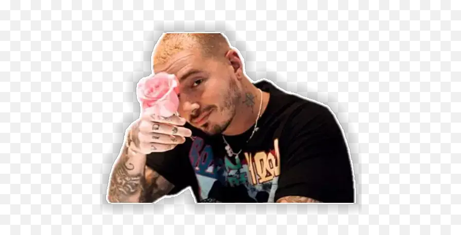 J Balvin U0026 Pitbull Stickers For Whatsapp - Stickers J Balvin Whatsapp Emoji,Pitbull Emoji