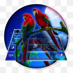 Android Apps - Macaw Emoji