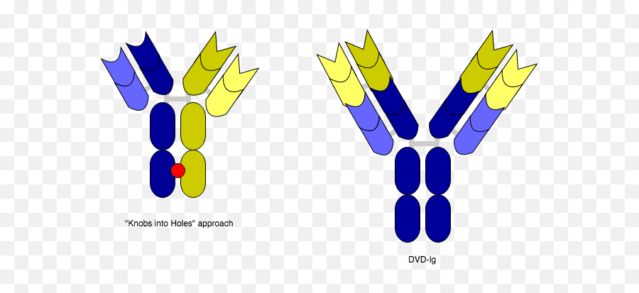 Bispecific Monoclonal Antibody - Bispecific Monoclonal Antibodies Emoji,Emojis Are Cancer
