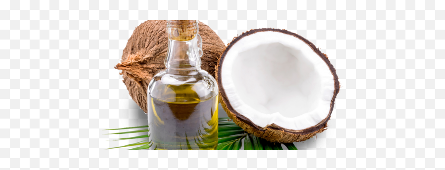 Virgin Coconut Oil Tetebatu - Transparent Coconut Oil Png Emoji,Olive Oil Emoji