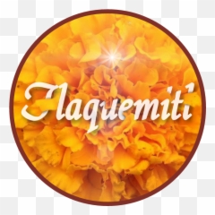 Cempasuchil - English Marigold Emoji