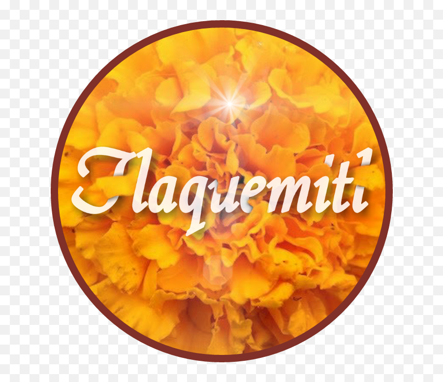 Cempasuchil - English Marigold Emoji,Twt Emoji