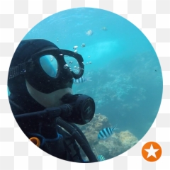 Mighty Bear Char - Grill Restaurant Restaurant In Underwater Emoji,Scuba Emoji