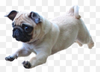 Pin Em Squee - Dog Running Transparent Background Emoji,Squee Emoji