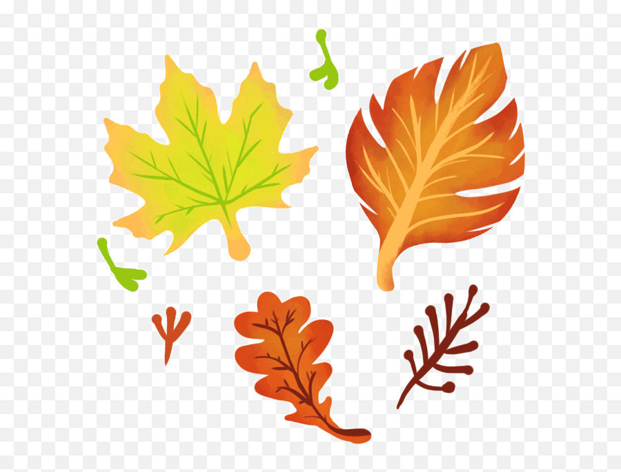 Design Karina Aguiar - Lovely Emoji,Maple Leaf Emoji