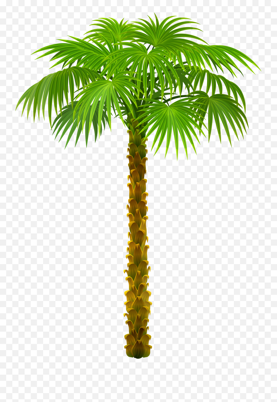 Free Cartoon Palm Tree Png Download Free Clip Art Free Emoji,Palm Tree Emoji