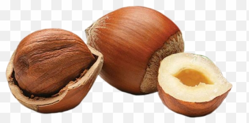 And Trending Hazelnut Stickers - Imagenes De Frutas Avellana Emoji,Hazelnut Emoji