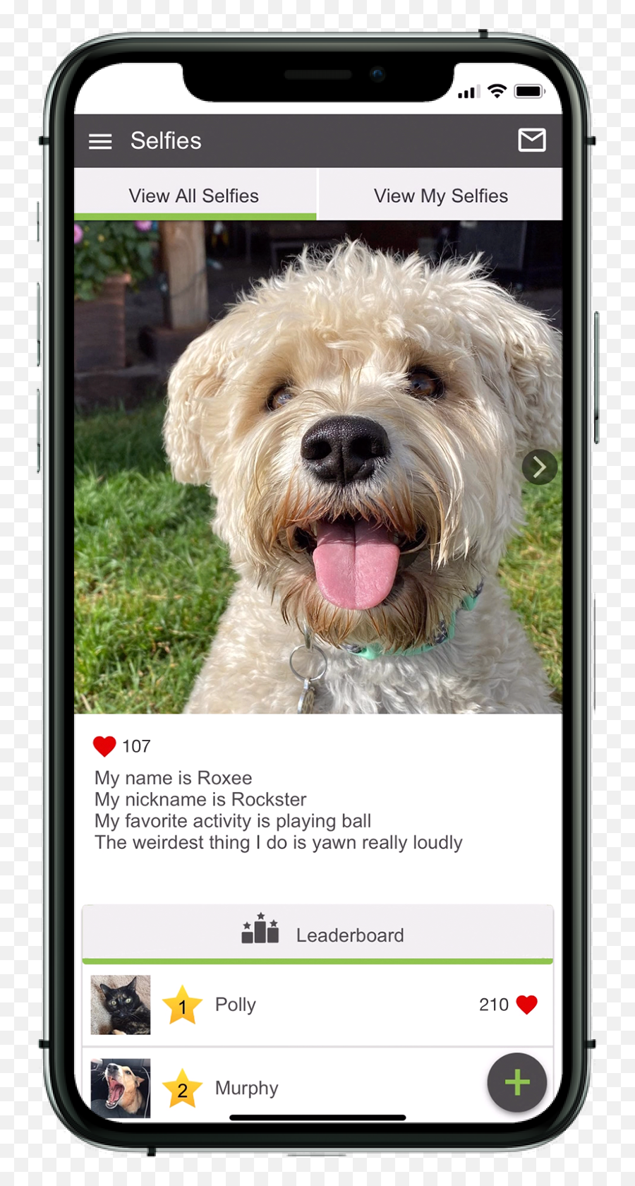 Whats New - Labradoodle Emoji,Dog Emoji App