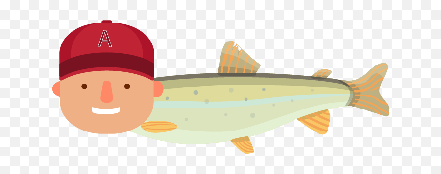 Emoji Clipart Baseball Emoji Baseball Transparent Free For - Süßwasser Fische,Picture Made Of Emojis