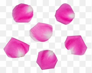 Top Love Tunnel Cyniade And Happines Funny Stickers for - Animated Transparent Flowers Gif Emoji