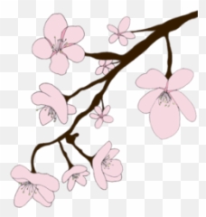 Sakura Png - Sakura Emoji,Sakura Blossom Emoji