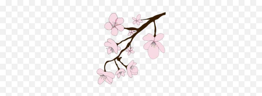 Sakura Png - Sakura Emoji,Sakura Blossom Emoji