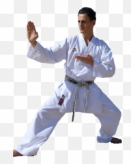 Download Karate Clipart Hq Png Image - Karateca En Emoji