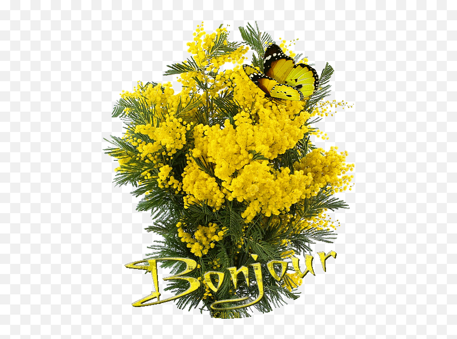 Top Flower Dance Stickers For Android U0026 Ios Gfycat - Mimosa Bouquet Emoji,Mimosa Emoji