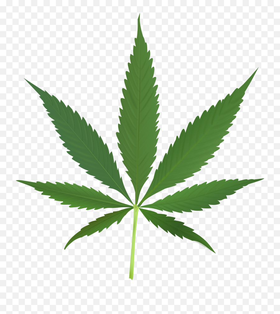 Cannabis Leaf Clipart - Cannabis Leaf Emoji,Pot Leaf Emoticon