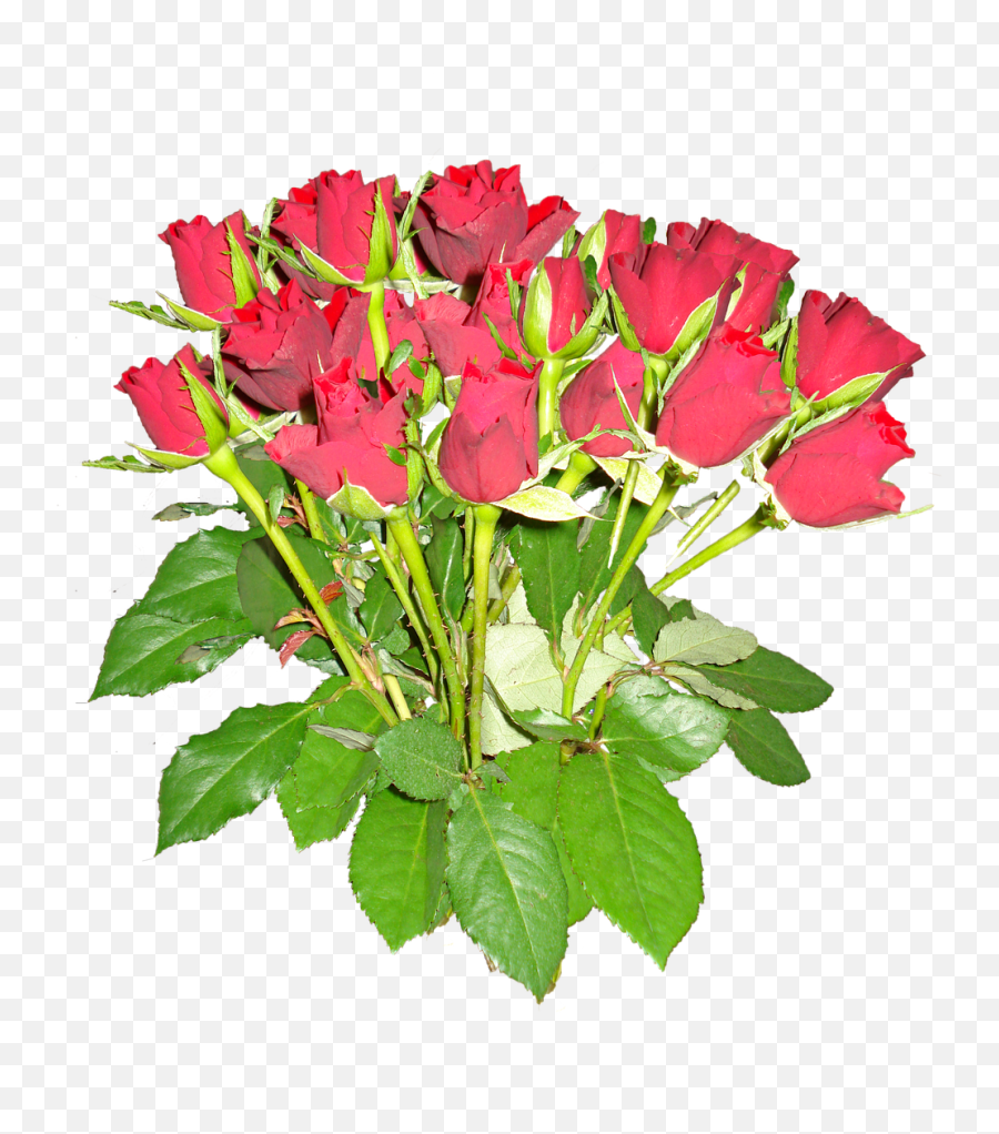 Nosegay Roses Red Free Pictures Free - Bouquet Emoji,Roses Emoticon