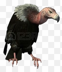 Vulture Freetoedit - Perched Vulture Emoji,Vulture Emoji