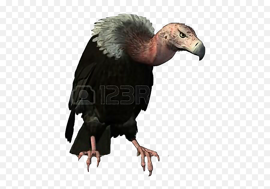 Vulture Freetoedit - Perched Vulture Emoji,Vulture Emoji