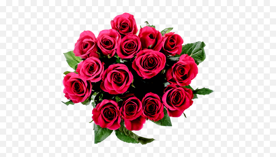 Roses Bouquet Vector Image - Bouquet Of Roses Top View Emoji,Bouquet Of Flowers Emoji