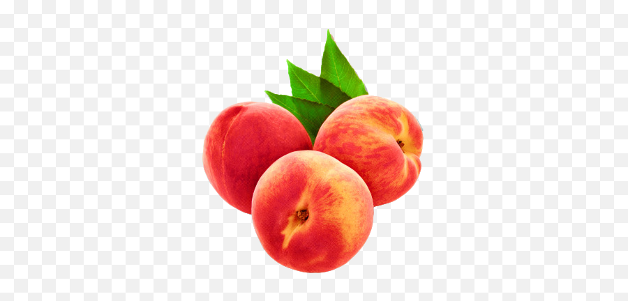 Peach Tumblr Transparent Png Clipart - Fruit Aesthetic Transparent Emoji,Peach Emoji Transparent Background
