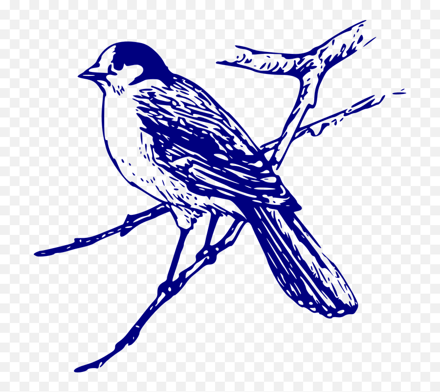 Free Canada Flag Vectors - Blue Bird Line Drawing Emoji,Blue Jays Emoji