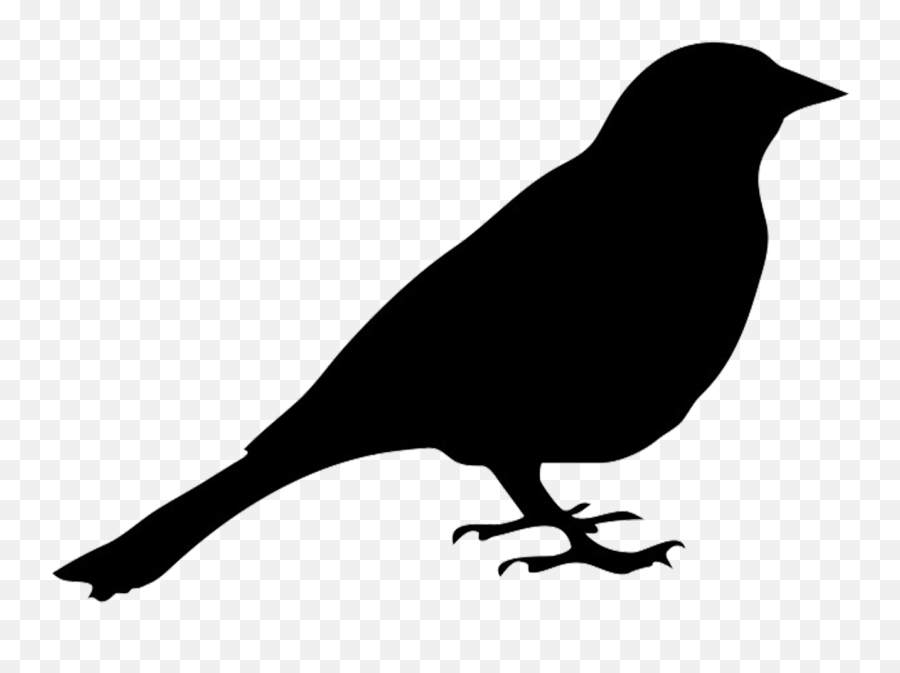 Bird Silhouette Sitting Bird Png - Pigeon Silhouette Clipart Emoji,Finch Emoji