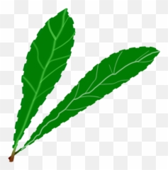 Gröna Blad Par - Portable Network Graphics Emoji,Plant Emoji