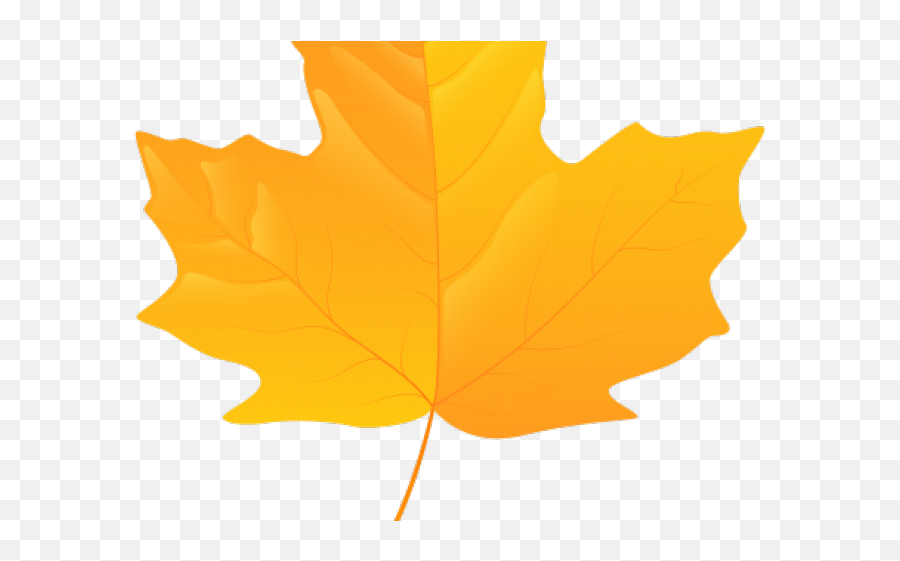 Autumn Leaves Clipart Free Clip Art Stock Illustrations - Transparent Autumn Leaves Yellow Emoji,Leaves Emoji