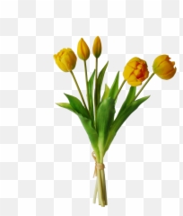 Yellow Tulips Png Transparent Background - Yellow Tulips Png Emoji,Tulip Emoji