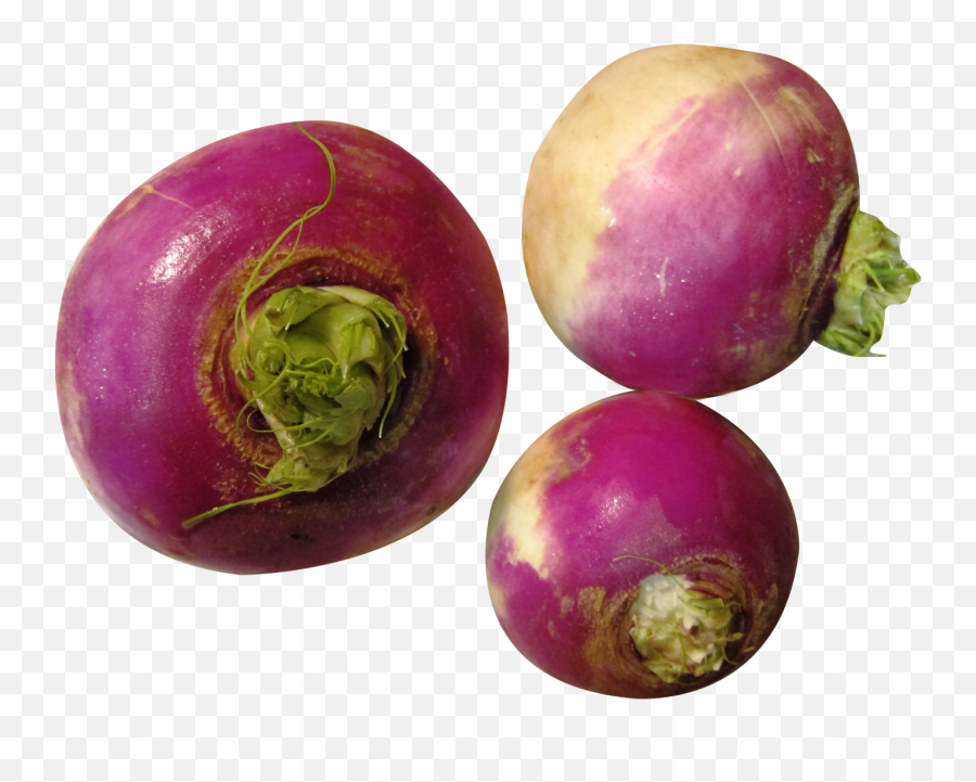 Download Turnip Png Image For Free - Turnip Png Emoji,Artichoke Emoji