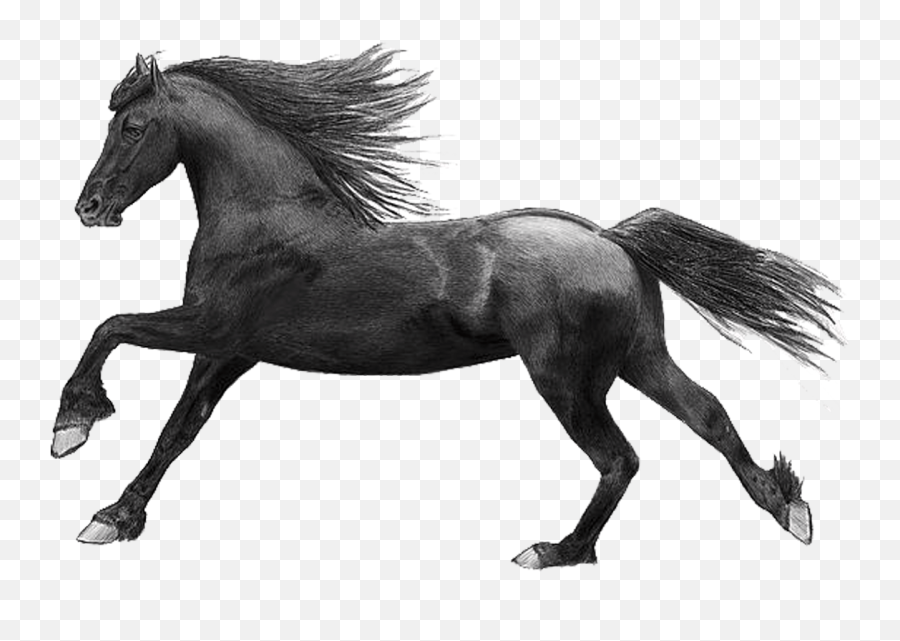 Index Of Gnutux - Black Horse No Background Emoji,Horse Emoticons