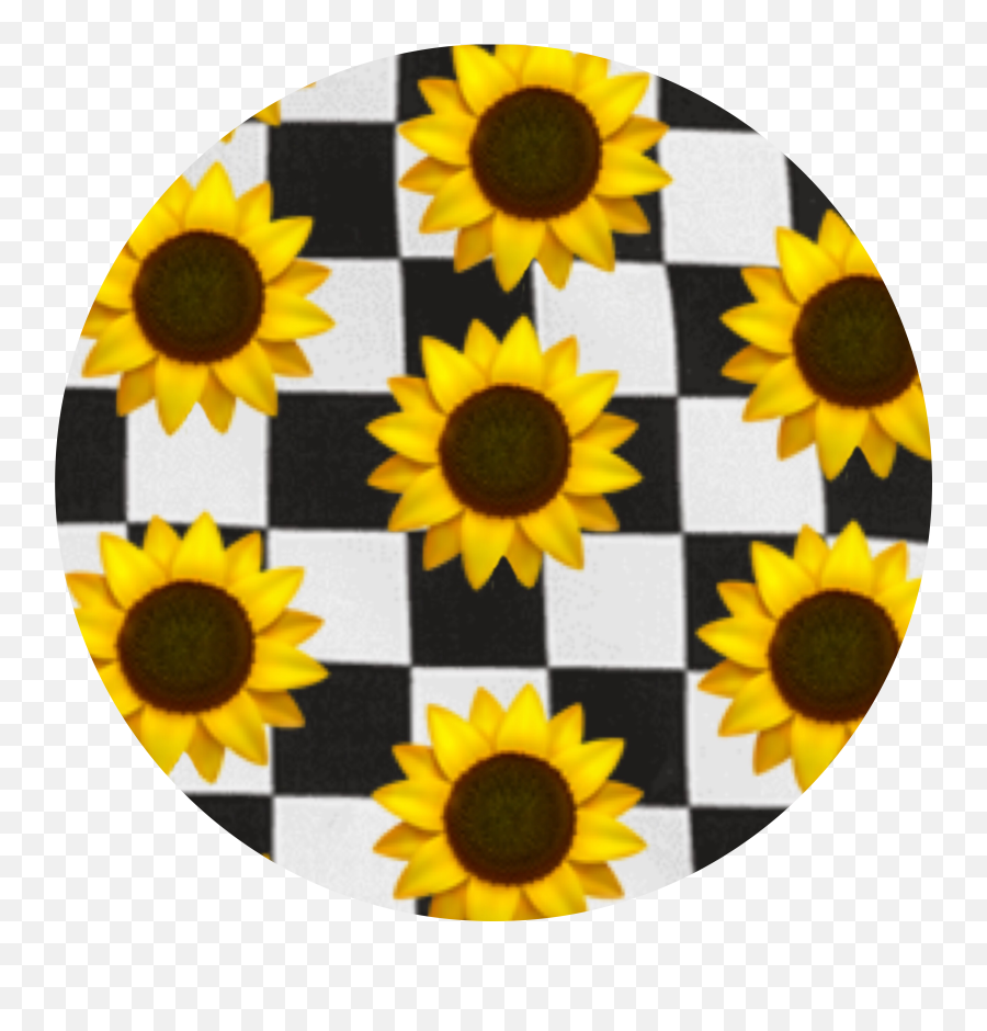 Checkerboard Emoji Sunflowers Background Aesthetic,Sun Flower Emoji